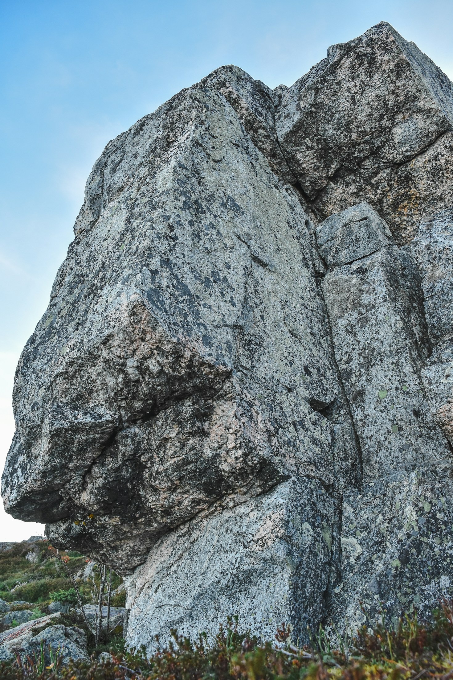 Essential Tools for Beginner Rockhounders