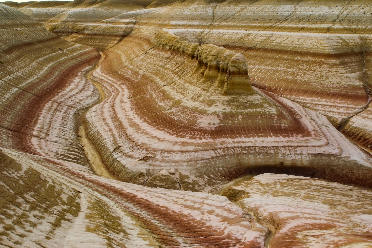 Understanding the Fossils of the Natural State